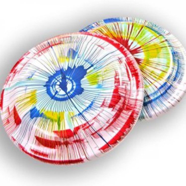 Spin Art - Frisbee